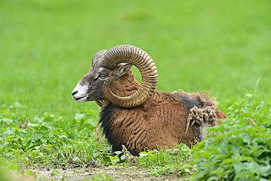 《战地2042》Steam开启免费试玩 截止到3月16日